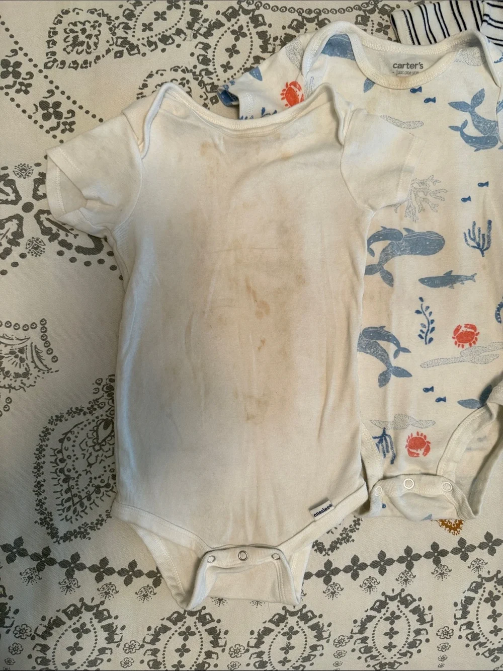 Short-Sleeve Baby Bodysuit Set of 4